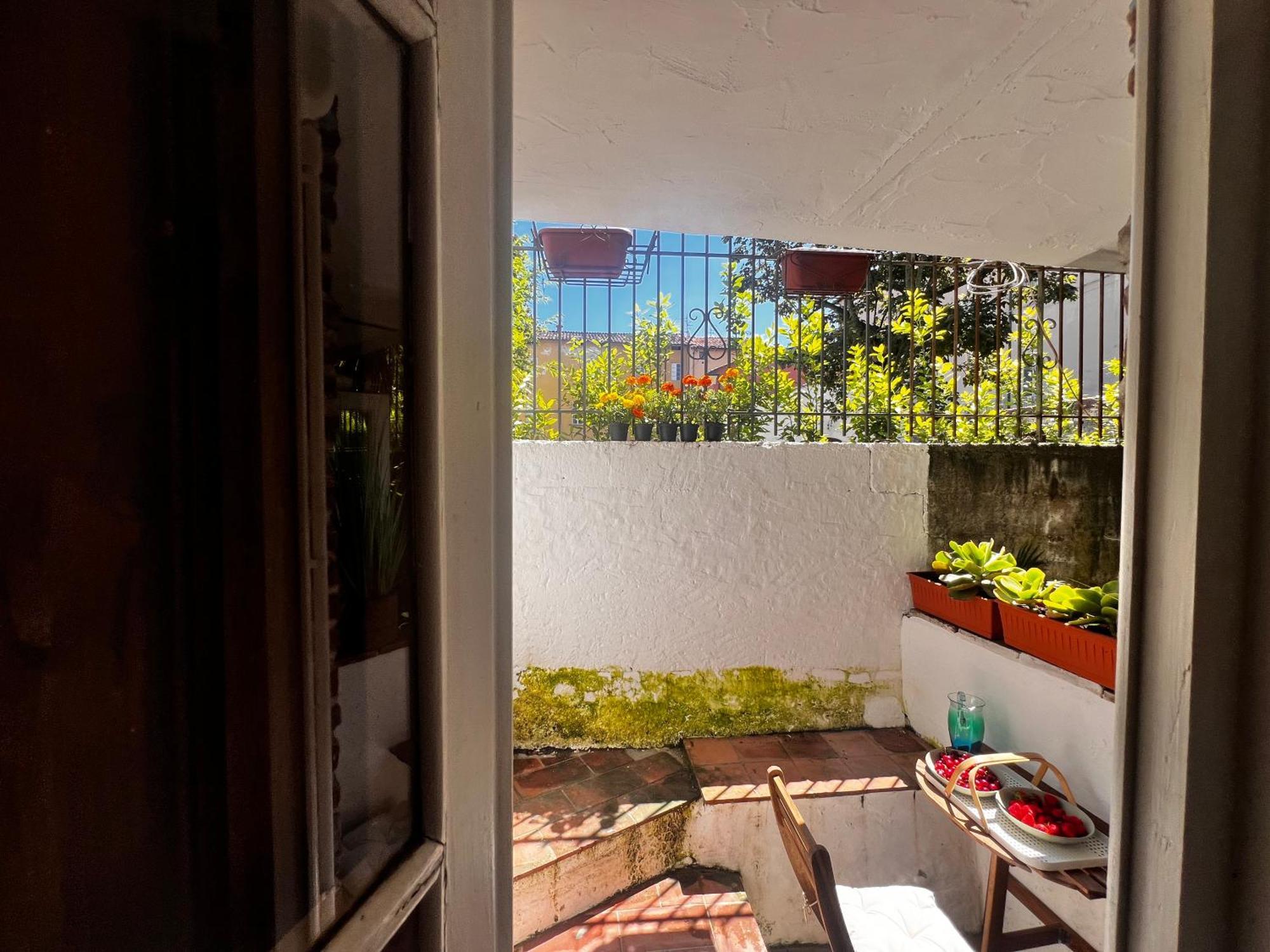 Apartamento Casa In Pelleria Lucca Exterior foto