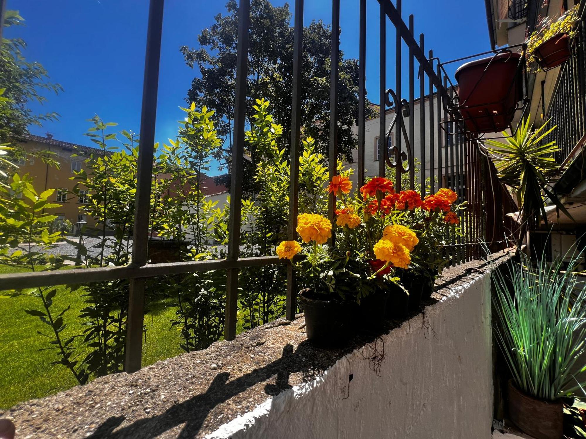 Apartamento Casa In Pelleria Lucca Exterior foto